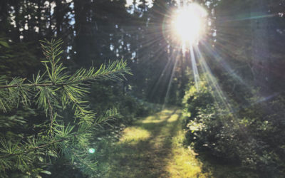 How Long Does Addiction Recovery Take?